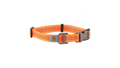 Carhartt Dog Collar - Hunter Orange