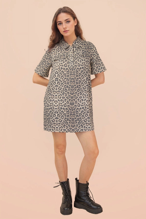 Leopard Printed Collared Casual Shift Mini Dress